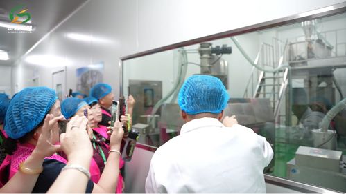 國糧農業黑色雜糧粉 符合標準的合規健康食品